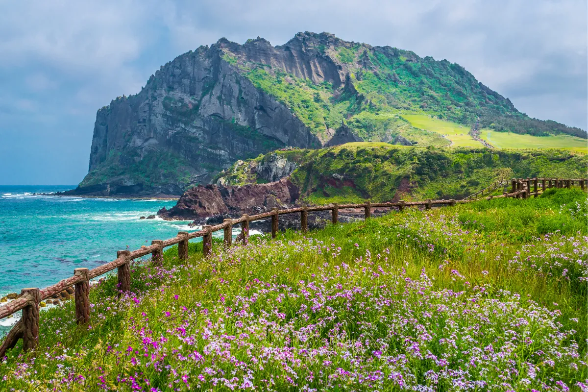 Jeju Island 